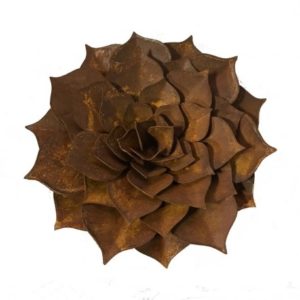 Echeveria vlak, roest design