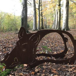 Wild zwijn houtopslag, roest design