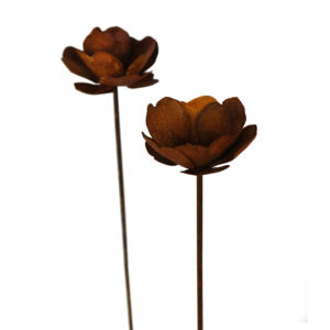 Klaproos, tuinsteker, roest design