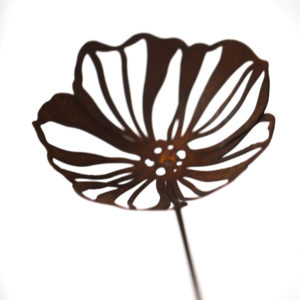 Bloem cosmea op steel, roest design
