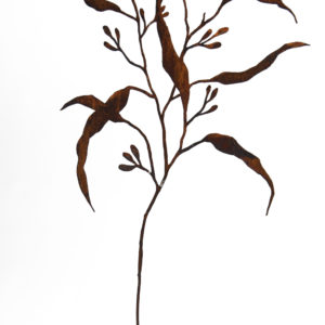 Eucalyptus met bessen op steel, roest design