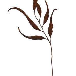 Eucalyptus op steel, roest design