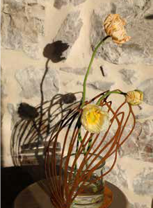 Langwerpig licht gebogen blad op ronde plaat, roest design