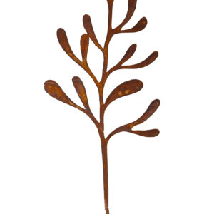 Langbladige ministeker, brede uitvoering, roest design