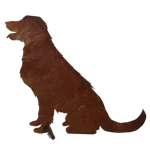 Golden retriever op stang, roest design