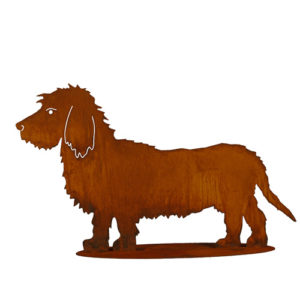 Ruwharige teckel staand op plaat, roest design