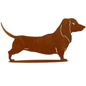 Gladharige teckel staand op plaat, roest design